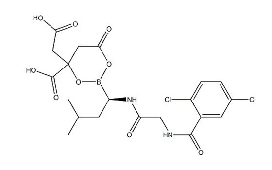 nattokinase 