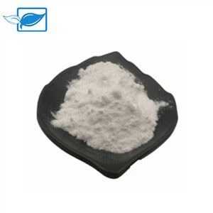 EGCG Poeder