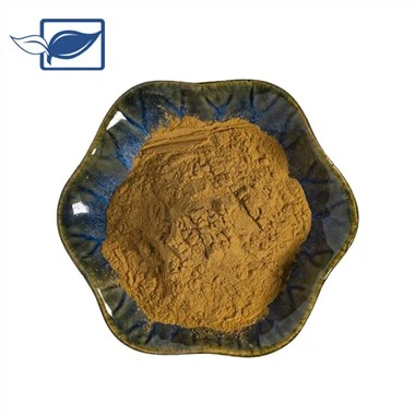 Chinees Dodder Extract Poeder