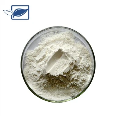 Saw Palmetto Fruit Extract Poeder